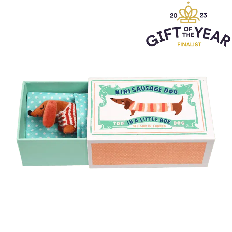 mini sausage dog in a little box
