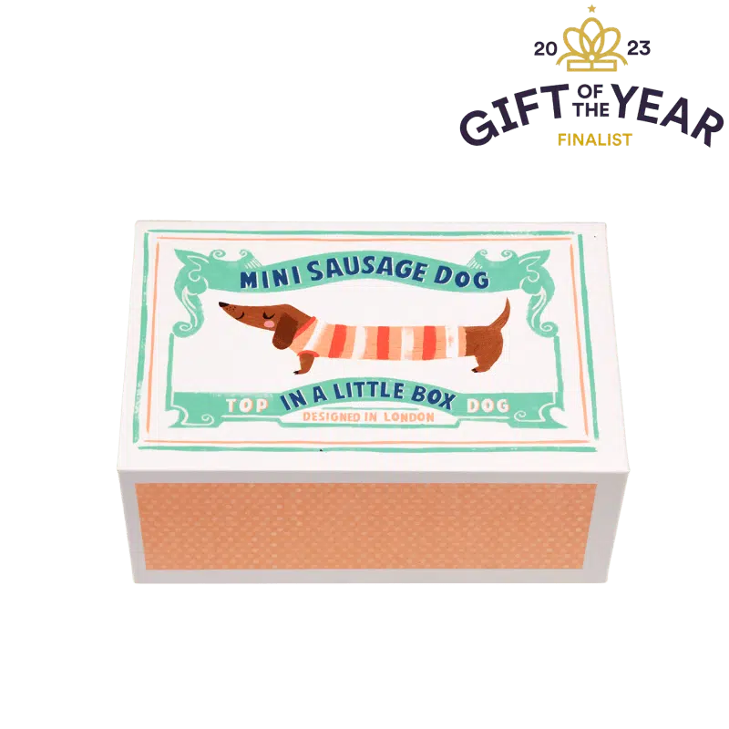 mini sausage dog in a little box