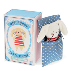 mini bunny in a little box