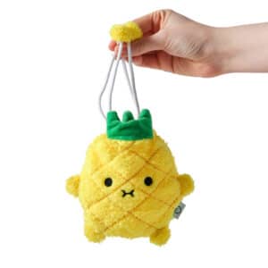 riceananas fruit pouch