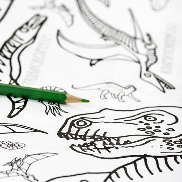 dinosaur tablecloth detail
