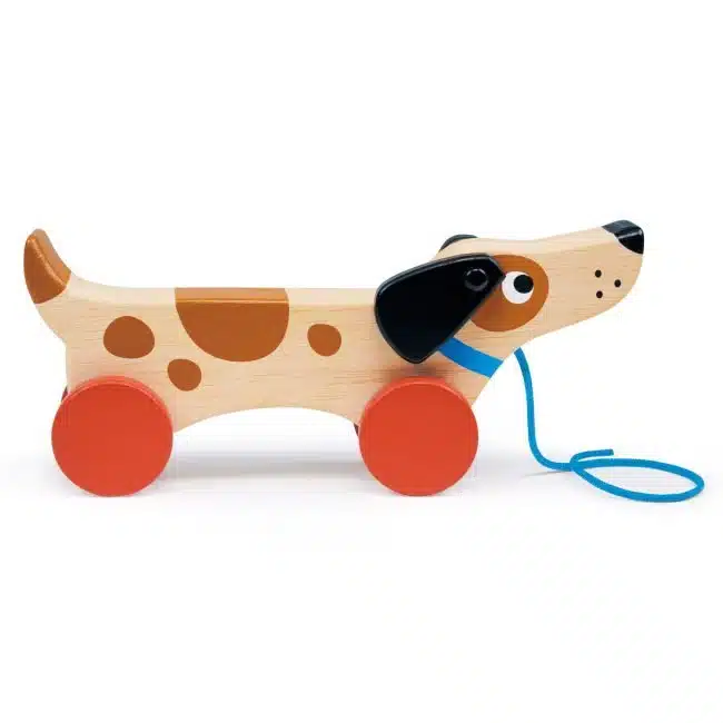 Puppy On Wheels Pull Along Wooden Toy Shop Online Today