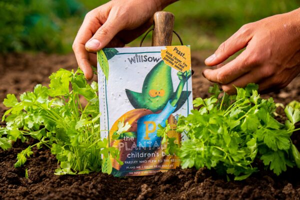 planting the plantable parsley book