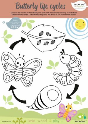 butterfly colouring printable