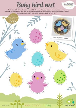 Baby Bird Printable