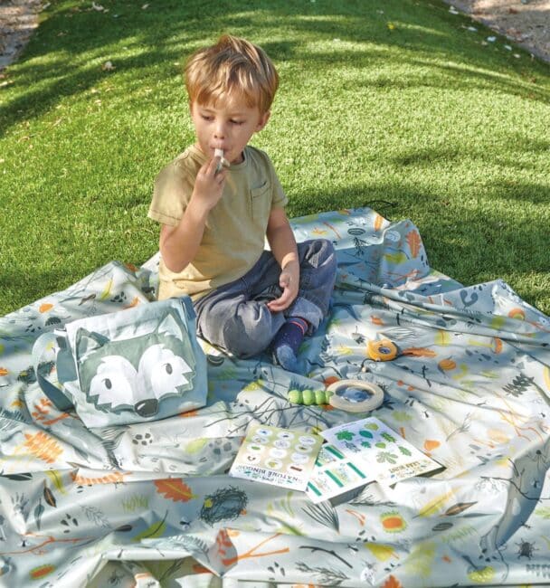 Tender Leaf toys forest trail kit